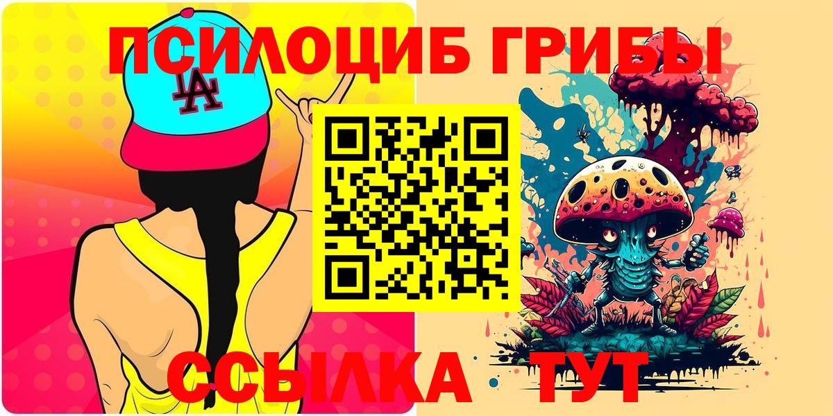 Псилоцибиновые грибы прущие грибы  Вход с VPN  Нальчик 