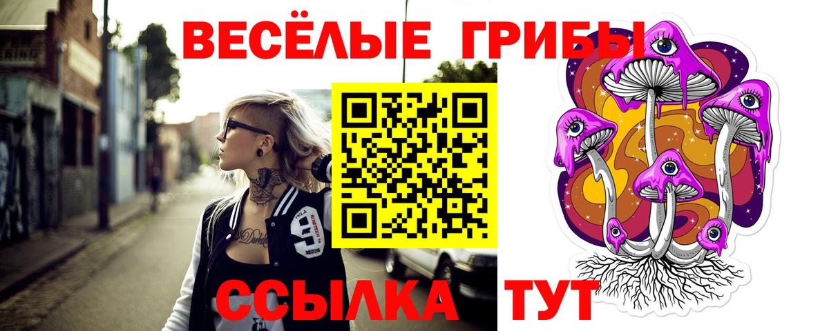 Галлюциногенные грибы Cubensis Нальчик